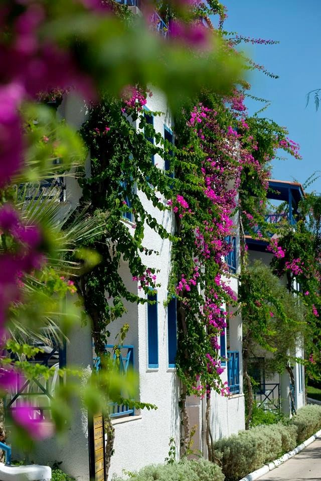 imagini hotel BODRUM HOLIDAY RESORT